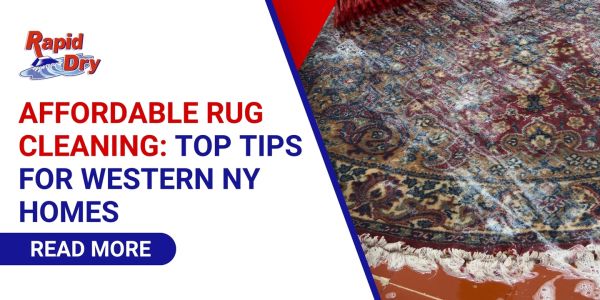 affordable rug cleaning