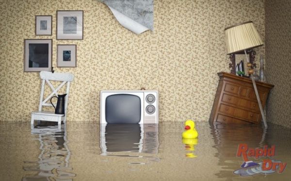 What to do in a water emergency