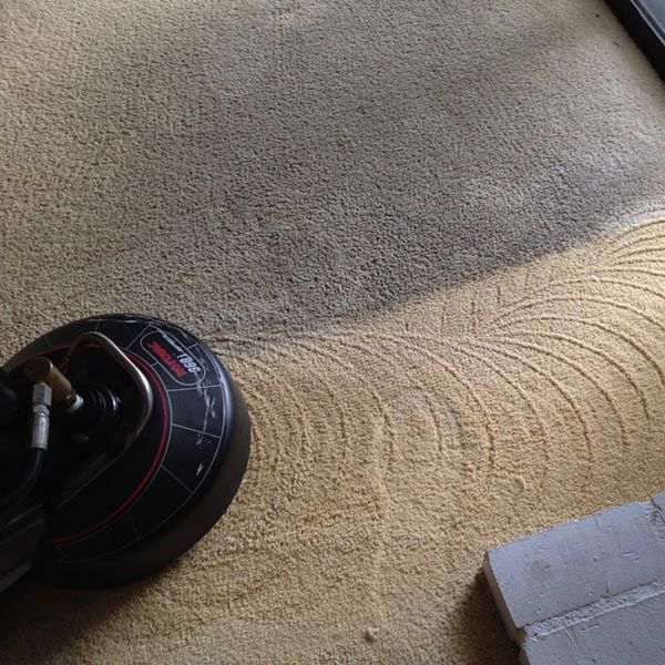 Carpet Cleaning Results