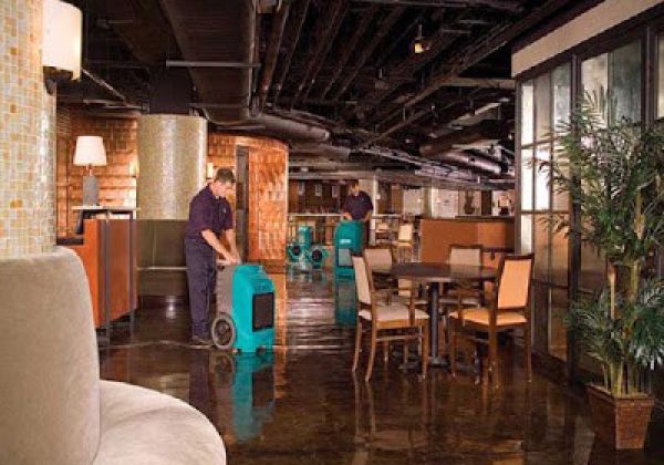 Steps to Take When Your Business Has Water Damage