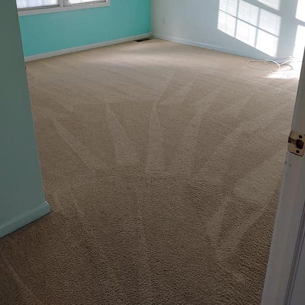 Carpet Cleaning Results