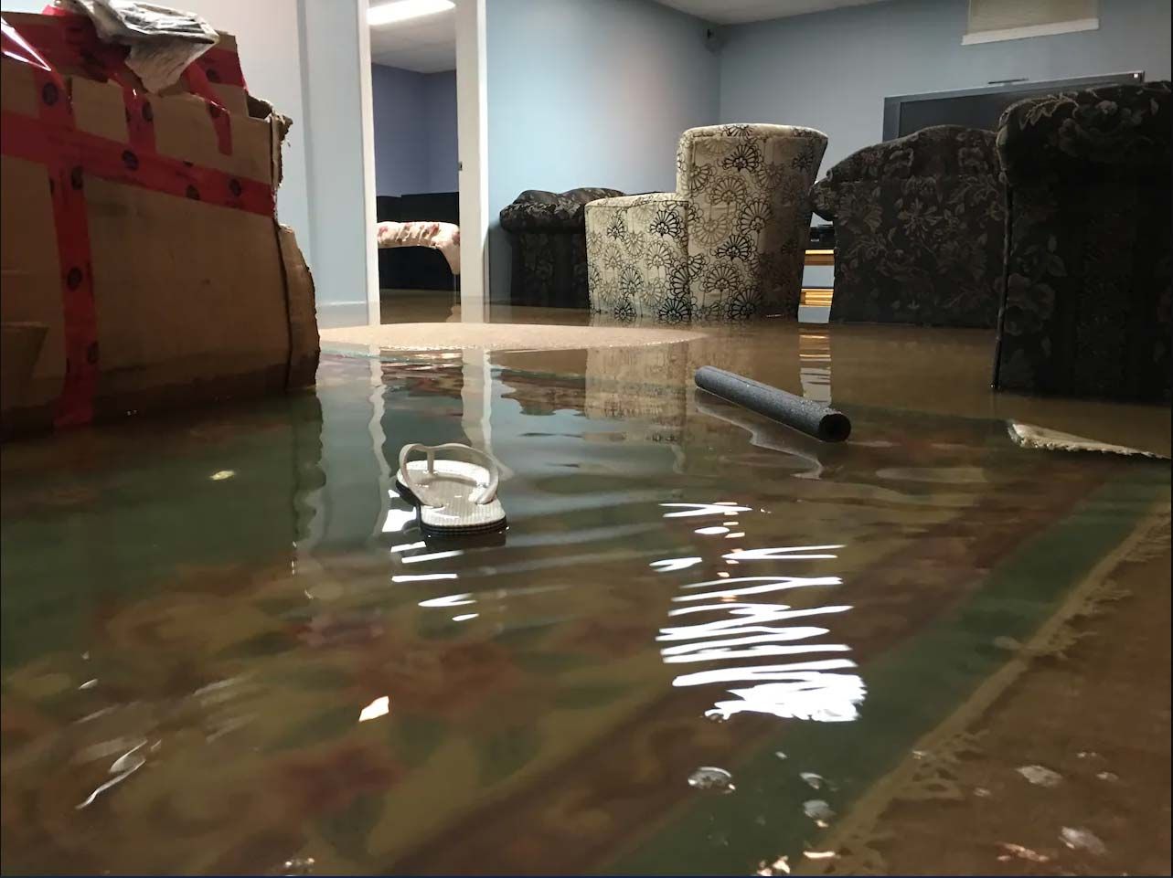 Water Damage Remediation Willimasville Ny