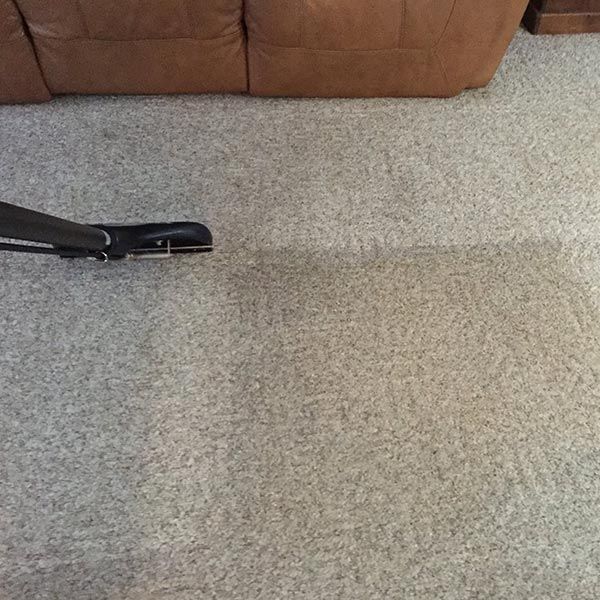 Carpet Cleaning Results